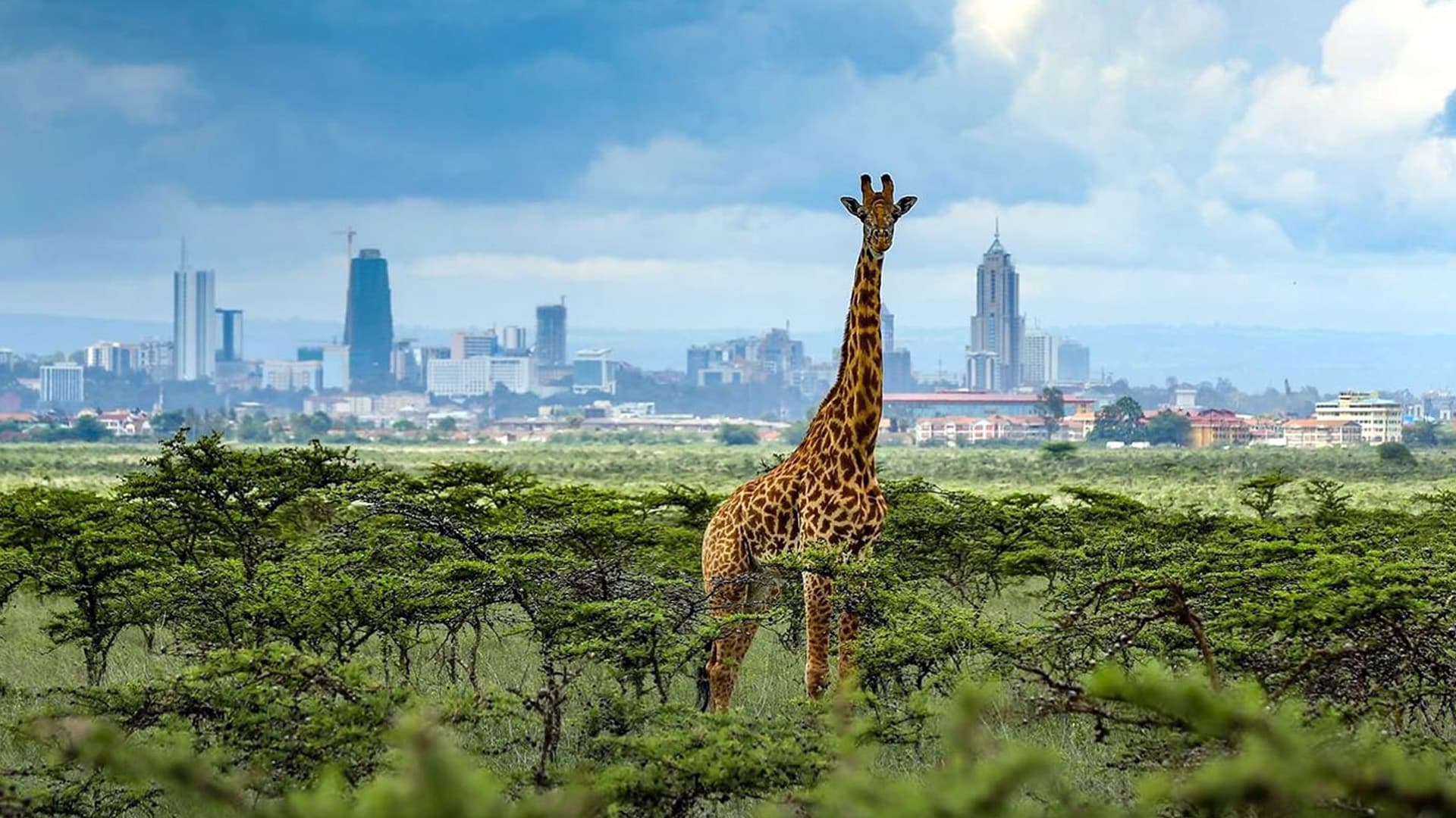 Africa